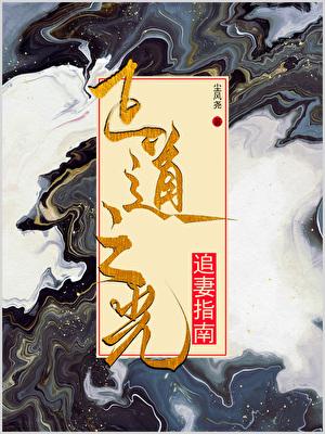 正道之光追妻指南（旧稿版）
