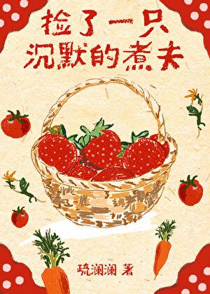 捡了一只沉默的煮夫