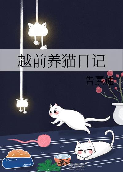 越前养猫日记