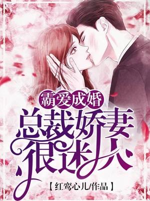 霸爱成婚:总裁娇妻很迷人