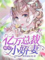 夏一涵叶子墨